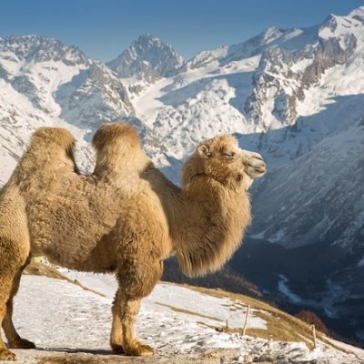 Nubra